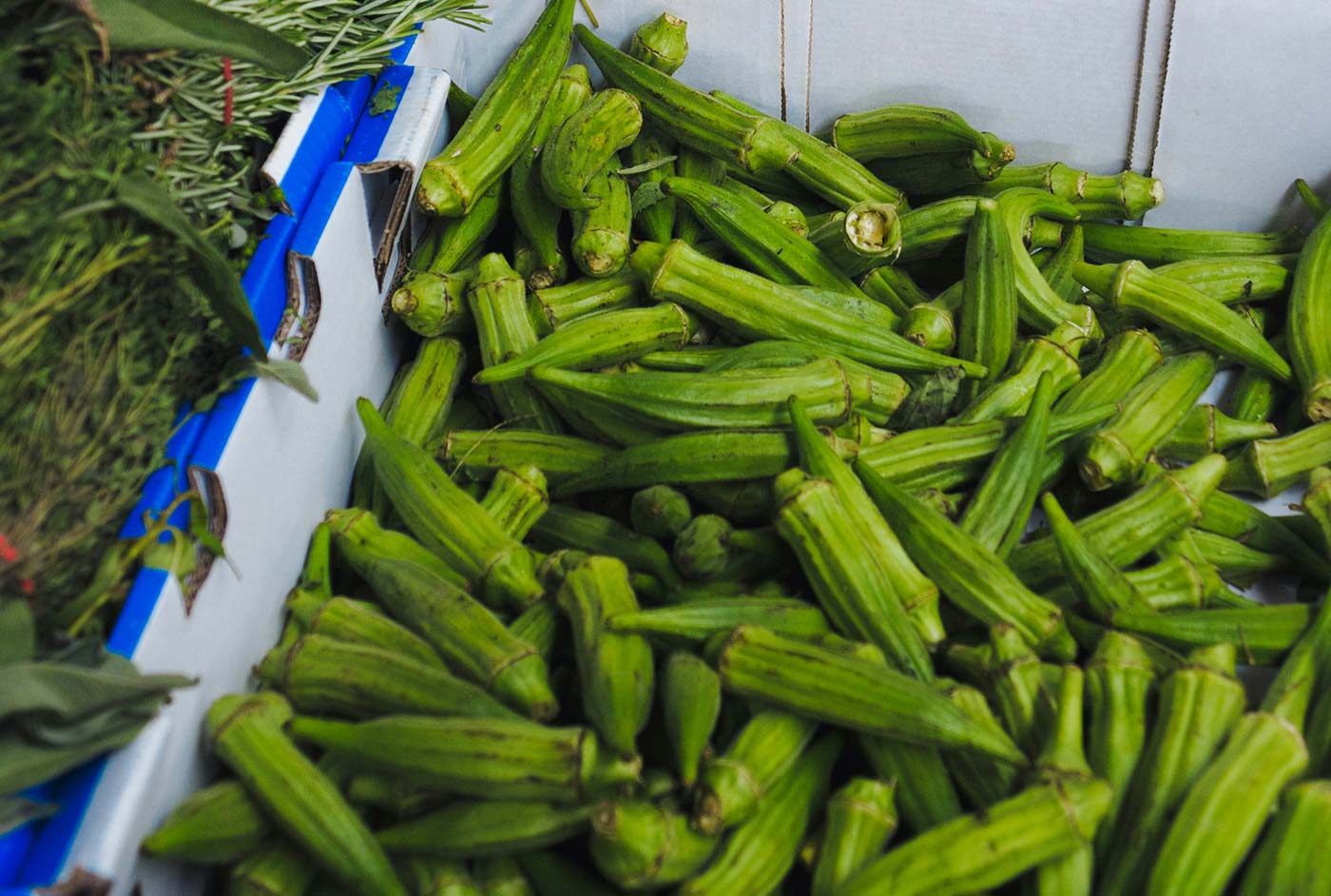 Premium fresh fruit and veg delivered with care to your doorstep Premium fresh fruit and veg delivered with care to your doorstep