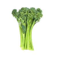Spring raab rapini broccoli seeds