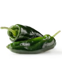 Jumbo jalapeno giant mexican pepper