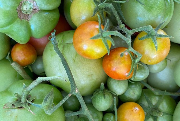 Enjoy nutritious, delicious fresh fruit and veg from farm to home