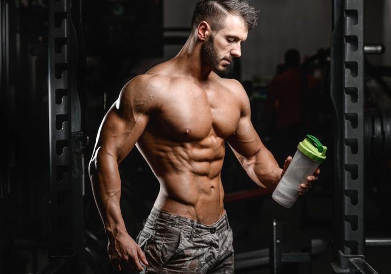 Complete gym fitness store shopping guide for home and professional training