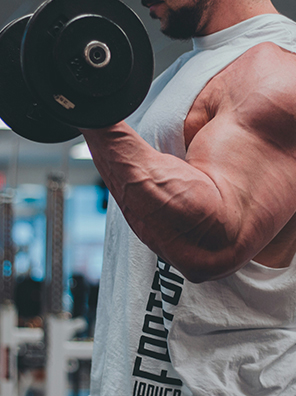 Build Muscle Build Muscle