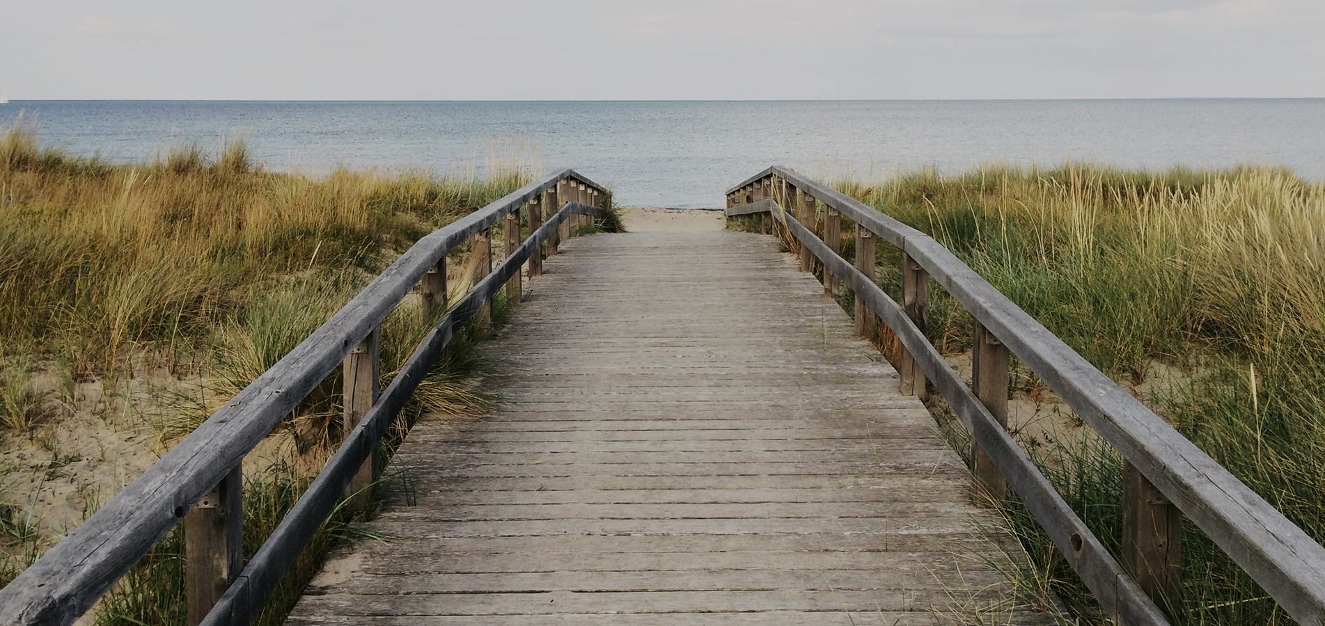 Rekindling eternal romance with nature Rekindling eternal romance with nature