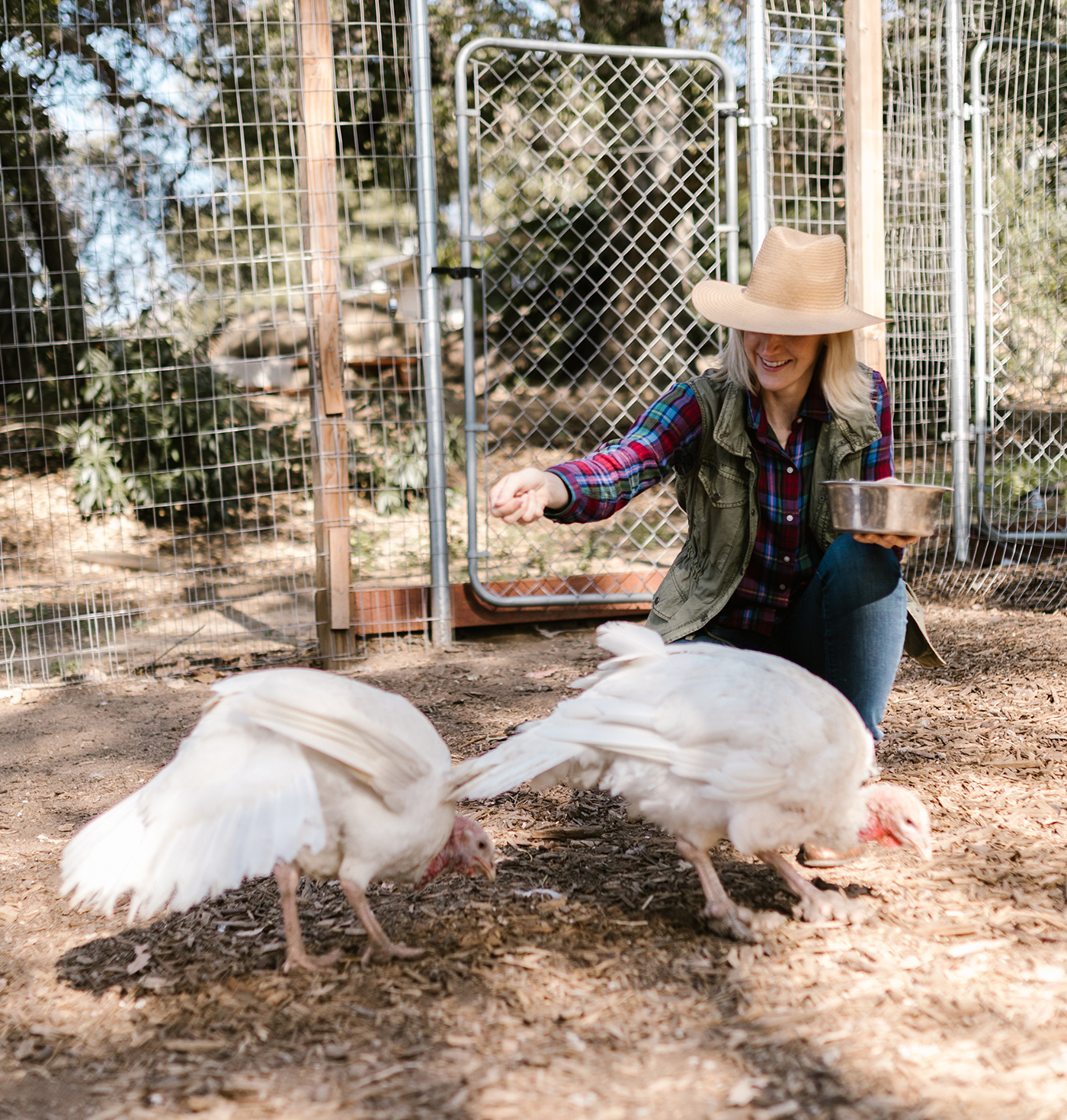 Working in dairy farming now Working in dairy farming now