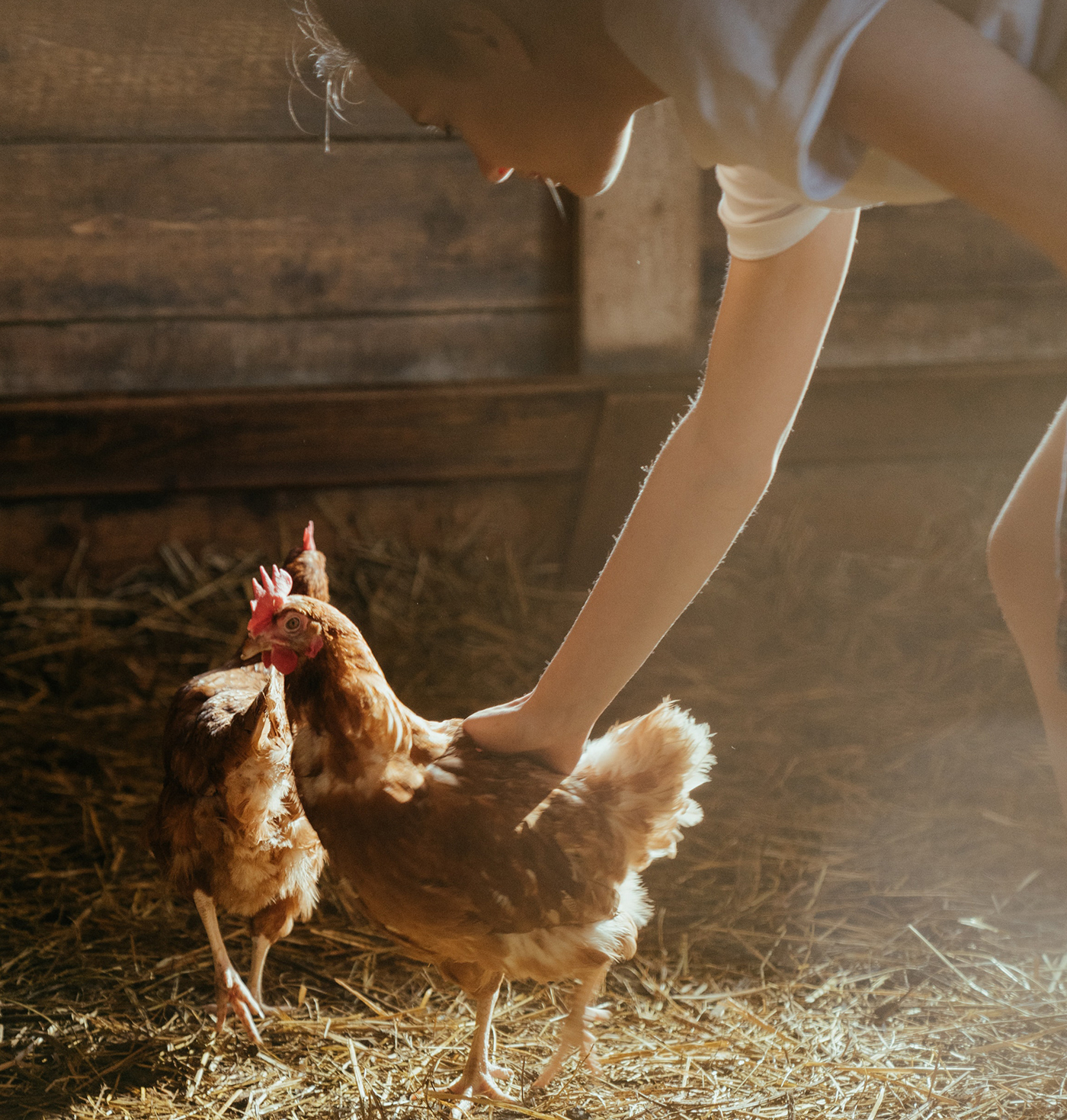 Grow with your nurturing plant Grow with your nurturing plant