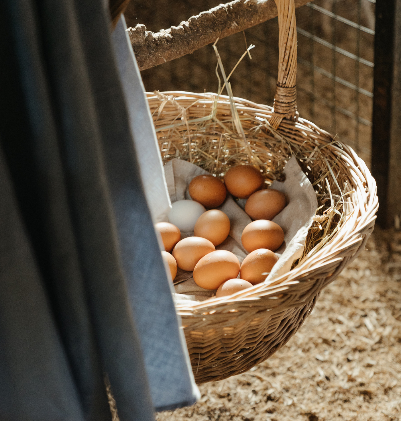 Reap and enjoy in your products Reap and enjoy in your products